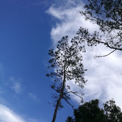 kerry11702684's profile picture. have fun