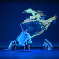 Grace Arts FL (@graceartsfl) 's Twitter Profile