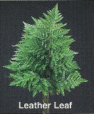 Linnea Hagstrom Ford