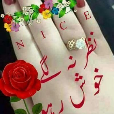 ShahidI74553469's profile picture. ‏پاکستان ذندہ باد پاک آرمی زندہ باد