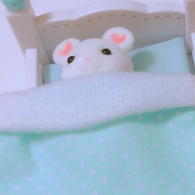 myg_0000's profile picture. 恐らく👨‍🏫🎋のすけべな話しかしない 成人済、20↑、18歳以上だとわかる西暦の誕生日が表記してある人だけ承認します👐 18↑だけは高校卒業してるか分からないので🙅‍♀️です