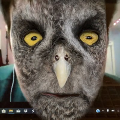 shodowhater's profile picture. I have very strange hobbies