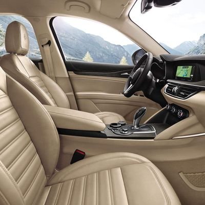 chengongbao1's profile picture. 笨蛋