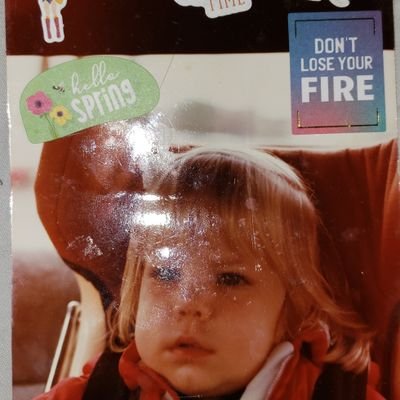 Nicole12345676's profile picture. #NotMeUs
Every single vote & election matters
#cat parents 
#progressive vs. establishments
errors happen, learning curve grace