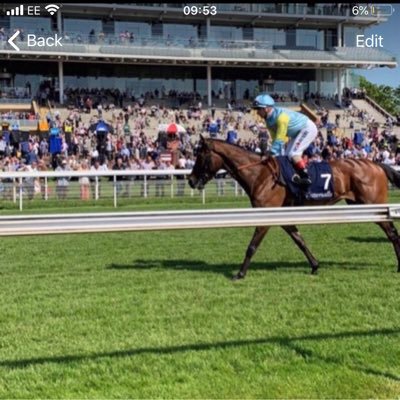 Horses tipster just trying to beat the bookies 🐎Free trial in our telegram group. instagram: napoftheday07 https://t.co/SmMdEuI7YR