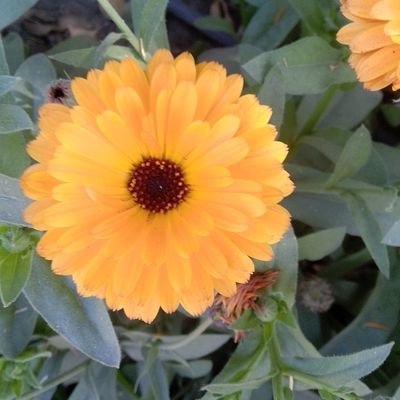 MangalS67972602's profile picture. my life