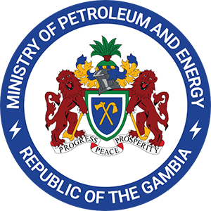 The Ministry of Petroleum and Energy was established 2007. It is responsible for the implementation of government policy in relation to electricity supply & dis