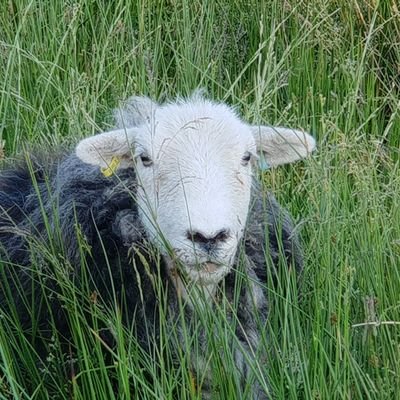 The Lake District writing retreat focused on writing about the Rural. Supporting new voices.