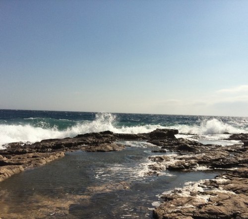 Pagecouronne's profile picture. 