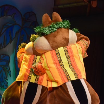 きなこ@🐿 (@kinako963) / X