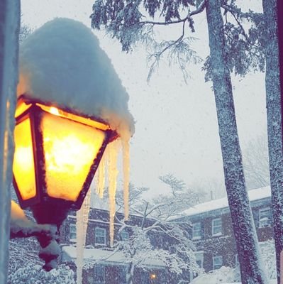 roselooli's profile picture. (تقوم الأوطان على كاهل ثلاثة:فلاح يغذيه، جندي يحميه، معلم يربيه)_ماجستير أحياء_مبتعثة سابقة لبرنامج خبرات٢جامعة بوسطن