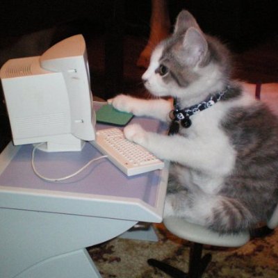MozillaEdge's profile picture. There is nothing here.