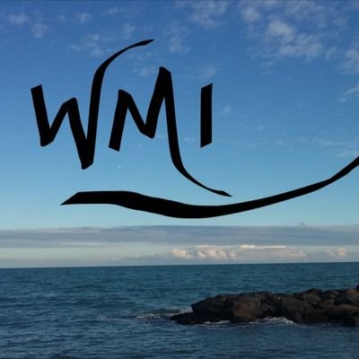 MuseumWater Profile Picture