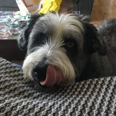 JoBarnes105's profile picture. 