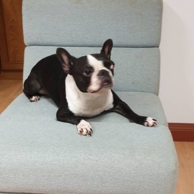 vudhiaom's profile picture. 