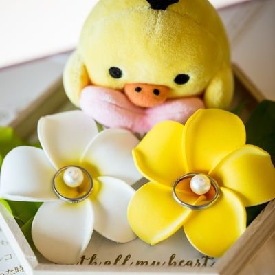 O フッジサーン Alicehappy1006 Twitter O フッジサーン Alicehappy1006 Twitter