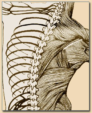 DrAndreaBuccino's profile picture. Dr. Buccino incorporates chiropractic adjustments,deep tissue release, rehab exercises & taping in her sports oriented practice.  (973)433-3655