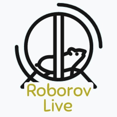 RoborovLiveのプロフィール写真