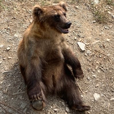 Ghost31261123's profile picture. 