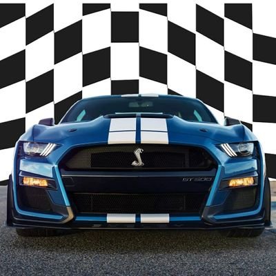Our club is open to all years of Ford Brands and Mustangs and best of all, your ownership is not a requirement, but your enthusiasm supporting the Ford Brand!