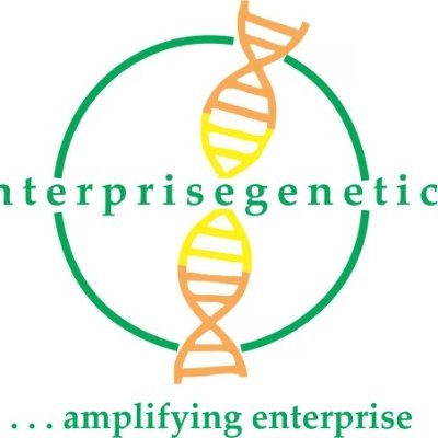 #enterprisedevelopment #corporateadvisory #PPPtransformation #businessevents #talentresourcery
... amplifying enterprise