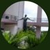 Aldub Diliman 2020 (@optimist_max) Twitter profile photo Aldub Diliman 2020 (@optimist_max) Twitter profile photo