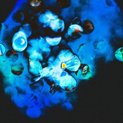 rain_afterglow's profile picture. a realibus ad realiora