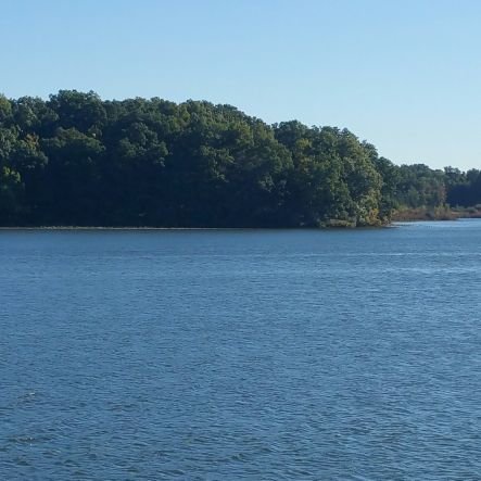 tglass's profile picture. Live by choice.
Always motivated, never manipulated.
Strive for best, may fail, no excuses.
Self esteem, not self pity.
Always strive to improve.