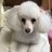 恩たまのアイコン