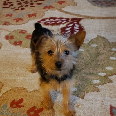 raymccoy61854's profile picture. Follower of Jesus.  Part time preacher, full time disciple.