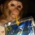 ---zz (@smokinghotmemes) Twitter profile photo