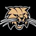 Buchholz Lacrosse (@buchholzlax) Twitter profile photo