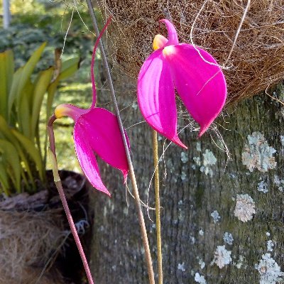 ypilaro's profile picture. Life is a time to learn, share and love.