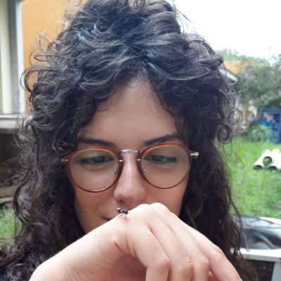 PhD candidate at @KU_Leuven
Evolution of eusociality in wasps