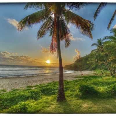 AAlaintoto1's profile picture. 