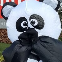Picketing Panda solidarity forever 🐼 (@picketingpanda) 's Twitter Profile