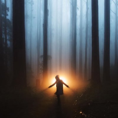 wfhvcn's profile picture. N