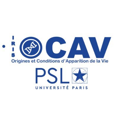 Initiative de Recherches Stratégiques et Innovantes (IRIS) Origines et Conditions d'Apparition de la Vie - Université PSL