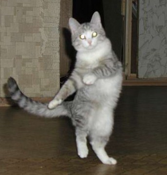 highhopesbest's profile picture. Say what you see.