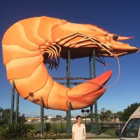 Tina Bawden (@tbwdn) Twitter profile photo