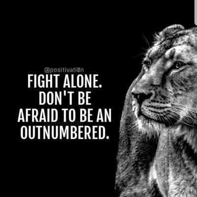 koshsleepy's profile picture. 