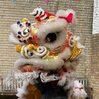 hackneychinese (@hackneychinese) 's Twitter Profile