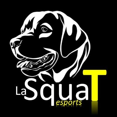 Equipo amateur de league of legends (NO operativo :c)
Confianza, dedicación y originalidad.
La mascota se llama Brownie uwu
#LetsGoSquaT