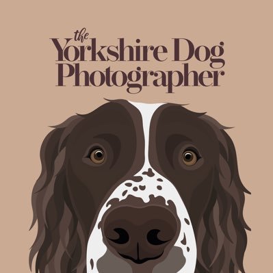 YorksDogPhoto's profile picture. Beautiful dog photography in Yorkshire for people who love dogs just as much as I do! ❤️