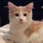 shoecoop's avatar