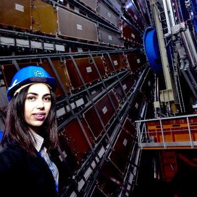 Phd Student in High Energy Physics. 
ATLAS experiment at the LHC, CERN.