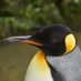 banana (@cibriddon) Twitter profile photo banana (@cibriddon) Twitter profile photo