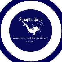 Synaptic Guild(@GuildSynaptic) 's Twitter Profile Photo