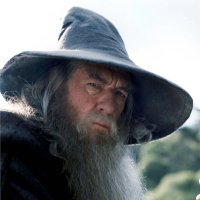 Gandalf(@GL_Mockingbird7) 's Twitter Profileg