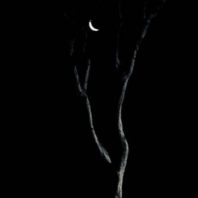 meCSddJ5aClZ2j5's profile picture. 